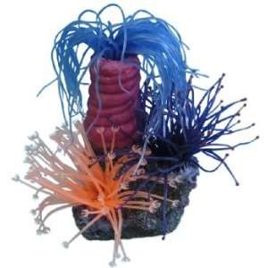  Coral Reef Ornament   Size 3 x 4 x 6 (LxWxH)