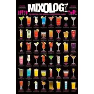 Mixology Cocktails College Alcohol Drinking Poster 24 x 36 inches 