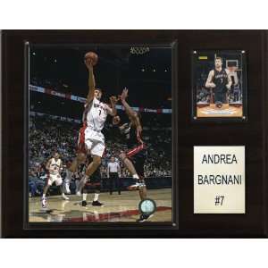  NBA Andrea Bargnani Toronto Raptors Player Plaque Sports 