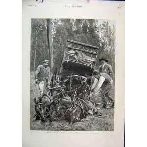  1890 Horses Cart Stuck Travelling Difficulties Tasmania 