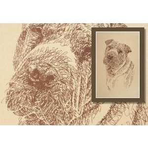 Chinese Shar Pei Lithograph by Stephen Kline
