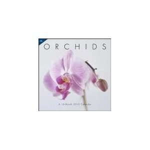  Orchids 2010 Wall Calendar