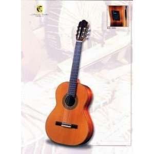   Sanchez 3050 Electro Acoustic Classical Guitar: Musical Instruments