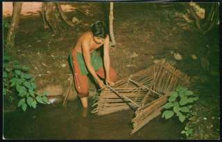 CHEROKEE NC Oconaluftee Indian Setting Up Fish Trap Vtg  