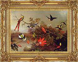 LARGE FRAMED HEADE Hummingbird Painting Repro CANVAS  