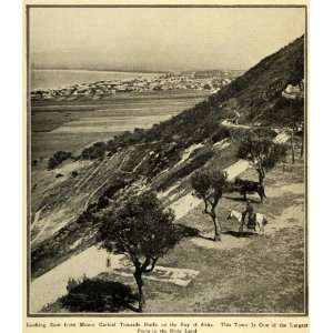  1923 Print Bay Akka Holy Land Port Horse Mount Carmel 