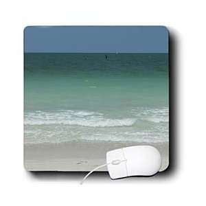  Florene Beach   Gulf IV View   Mouse Pads Electronics