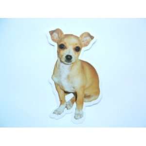  Chihuahua Reusable Double Sided Window Sticker: Home 