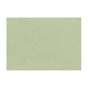  Pastels Individual   353/Chrome Oxide Green Arts, Crafts & Sewing