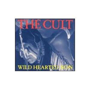  Wild Hearted Son(UK 12) vinyl: Cult: Music