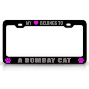  MY HEART BELONGS TO A BOMBAY Cat Pet Auto License Plate 