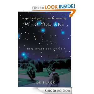   Guide In A Practical World Joe Black  Kindle Store