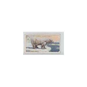   and Sons Natural History (Trading Card) #7   Polar Bear Collectibles