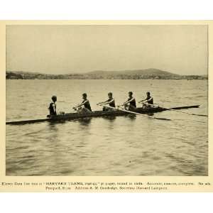  1900 Print Harvard University Rowing Crew Coxswain Sweep 