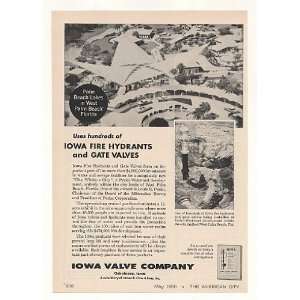  1960 Palm Beach Lakes FL Iowa Valve Fire Hydrant Print Ad 