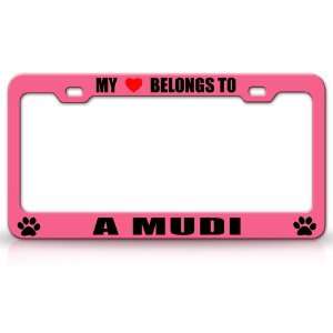 MY HEART BELONGS TO A MUDI Dog Pet Steel Metal Auto License Plate 