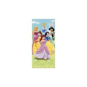  Disney Princess Door Banner (walk through): Toys & Games