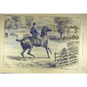  1892 Hunters Sale Hire Horse Rider Hunt Sketch Print: Home 