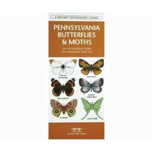   Guide   Pennsylvania Butterflies & Moths   70 Species 
