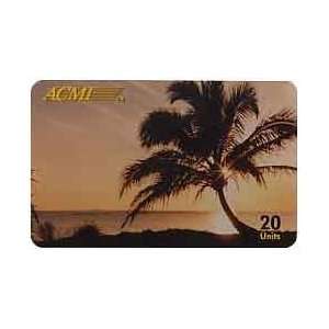   20u Palm Tree On Beach At Sunrise (1994   Thin Card) 