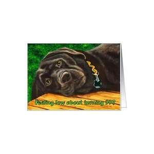  Funny Birthday ~ 59 Years Old ~ Labrador Dog Card: Toys 