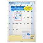  QuickNotes Recycled Wall Calendar, Large Wall, Blue/Yellow, 2012