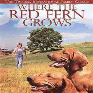 DVD WHERE THE RED FERN GROWS (DVD W/BONUS DIGITAL COPY) at 