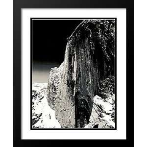  Ansel Adams Framed and Double Matted Art 33x45 Monolith 