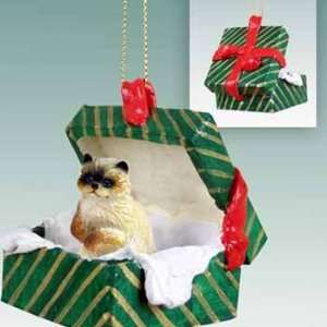  Ragdoll Cat in a Box Christmas Ornament