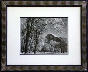Ansel Adams HALF DOME,OAK TREE Print Framed  