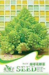 Bag 20 Seed GREEN Broccoli Cauliflower VEGETABLE C067  