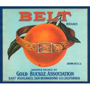 com BELT BRAND ORANGE GOLD BUCKLE SAN BERNARDINO CALIFORNIA USA FRUIT 