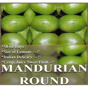  1 oz (850+) EUROPE MANDURIAN ROUND Cucumber seeds CUISINE 