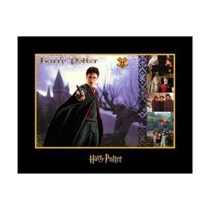  & Wizards of Harry Potter Collection: Harry Potter: Everything Else