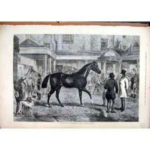  Horse Sale Tattersall 1876 Dog Men Building Old Print 