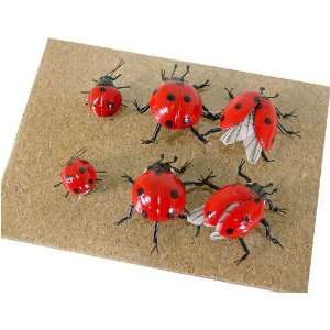  Ladybug Magnets, Set of 6 Lifelike Magnets