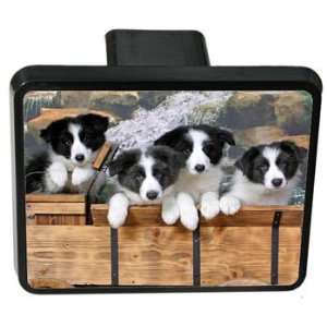 Border Collie Trailer Hitch Cover 