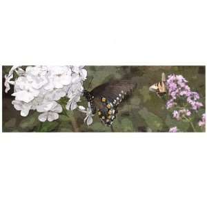  Butterfly Wood Panel Wall Art: Home & Kitchen
