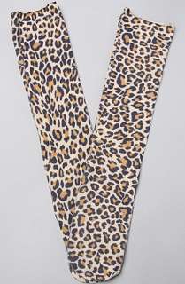 Accessories Boutique The Leopard Print Trouser Knee High Sock 