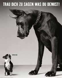 Hunde   Trau dich zu sagen was du denkst Dogs Tiere + Rahmen MDF 