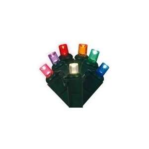   Battery Operated Multi LED Wide Angle Christmas Lights: Patio, Lawn