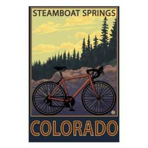 Steamboat Springs, Co   Mountain Bike Trail, c.2009 Premium Poster 