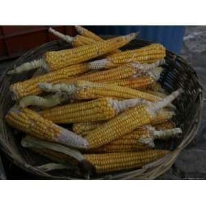 Raw Corn Sold at an Outdoor Market, San Cristobal de Las Casas, Mexico 