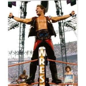 Chris Jericho in Ring WWE WrestleMania 24 8x10