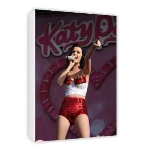 Katy Perry   Canvas   Medium   30x45cm