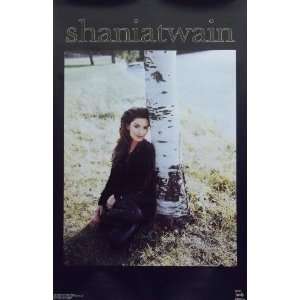 Shania Twain 23x35 Aspen Poster 1996