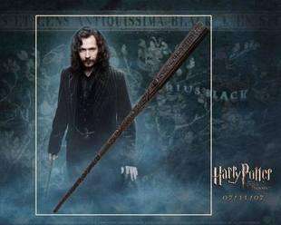 Harry Potter Sirius Black Magical Wand Led Light up box  