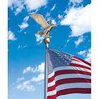 FLAG POLE EAGLE Bronze Med 8  20 flagpoles 12 x 12 items in House 