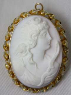   10K Gold Angel Skin Coral Cameo & Seed Pearl Brooch/Pendant  