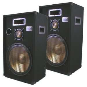  New PA Band DJ Karaoke Pro Audio Deluxe Three Way Speaker 
